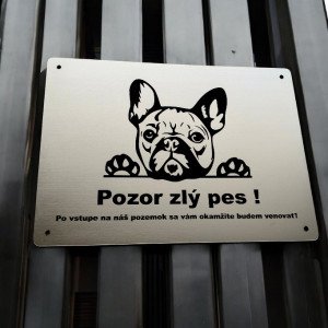 Pozor pes
