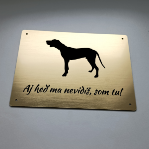 Schild Vorsicht Hund Magyar Vizsla
