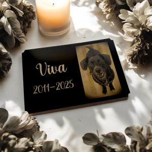 Grabtafel für Tiere V2