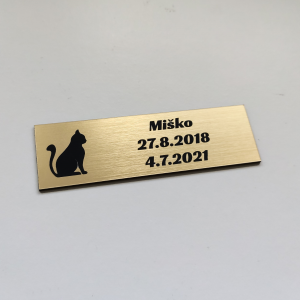 Türschild Sphynx cat
