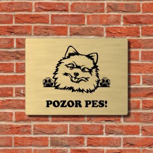 Warnschild Vorsicht Hund Pomeranian