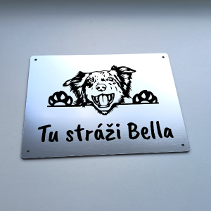 Schild Vorsicht Hund Border Collie cute